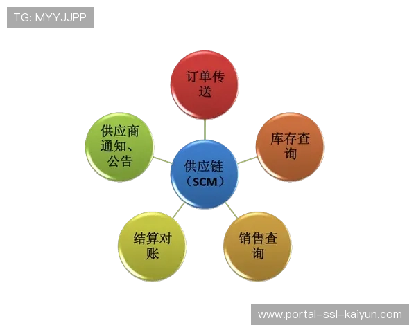 体育服务供应链闭环生态构建，资源循环利用率提升